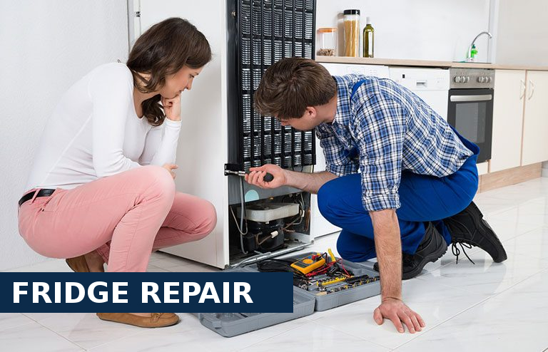 Fridge Repair Tolworth
